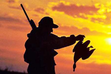 آغاز صدور مجوز شکار پرندگان از امروز | مجوز شکار به مدت ۲ ماه روز‌های پنجشنبه و جمعه
