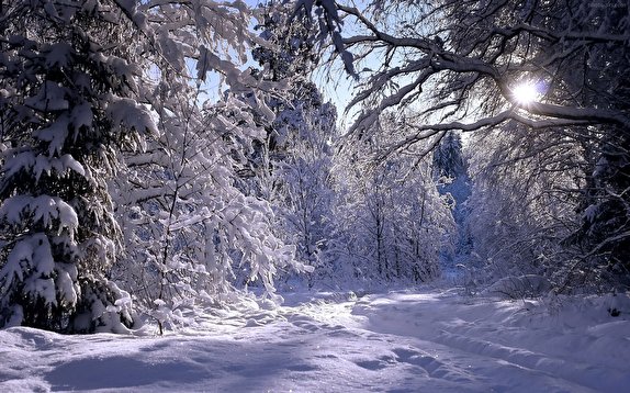 برف و باران در راه گیلان/ کاهش ۲۰ درجه‌ای دمای هوا