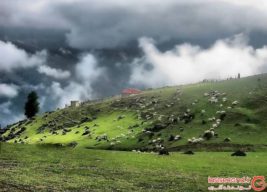 ماسال