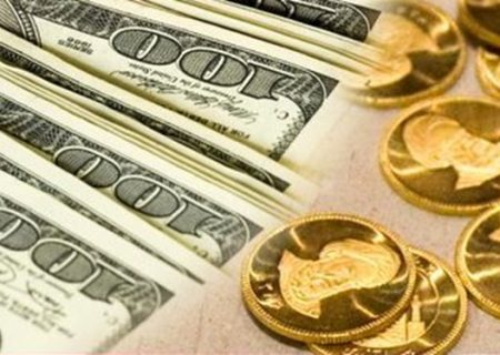 کشف ۲ هزار سکه ارزی قاچاق در گیلان