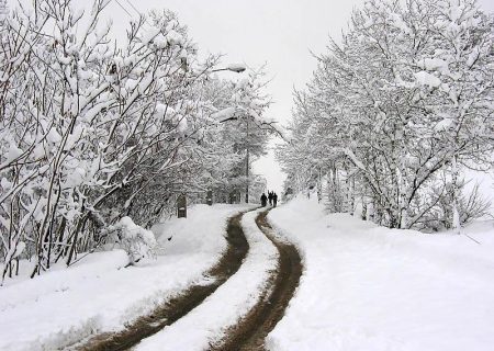 بارش برف در ۶ محور کوهستانی گیلان/ راه ها باز است