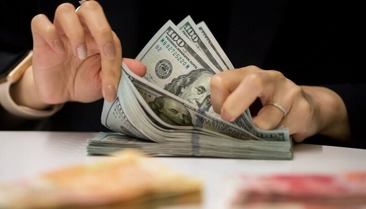 بازگرداندن ارز به بانک شاکی در رشت