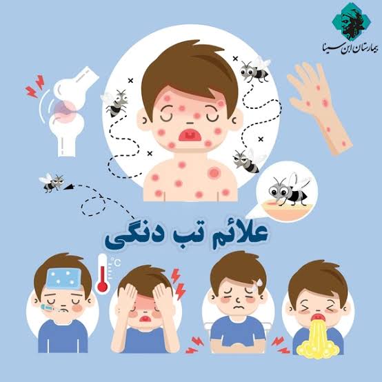 هشدار اوج‌گیری تب دنگی در سریلانکا / ثبت ۱۰۰۴ ابتلا در ایران
