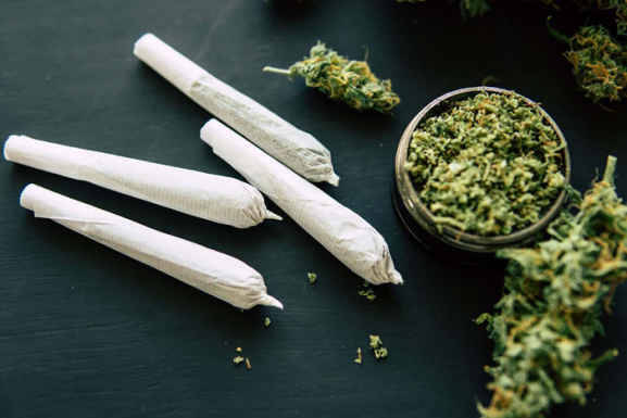 هشدار رئیس کل دادگستری گیلان در خصوص کشت مواد مخدر در روستاها