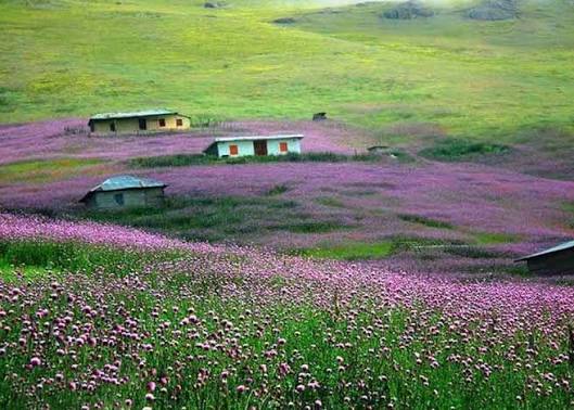 سوباتان بهشت مه آلود ایران