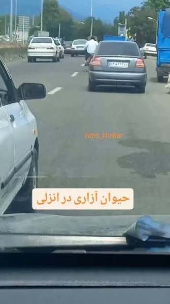 شناسایی و دستگیری عامل حیوان آزاری در شهرستان تالش