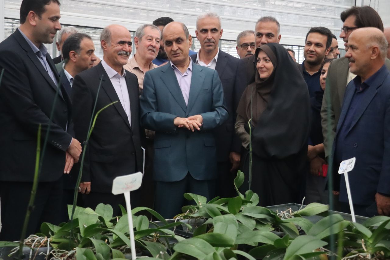 از مزرعه تا سفره؛ برنامه گیلان برای افزایش تولید محصولات کشاورزی