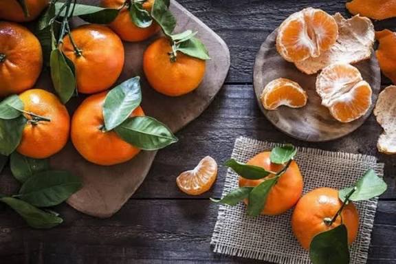 آغاز برداشت نارنگی و نارنج از باغات مرکبات گیلان