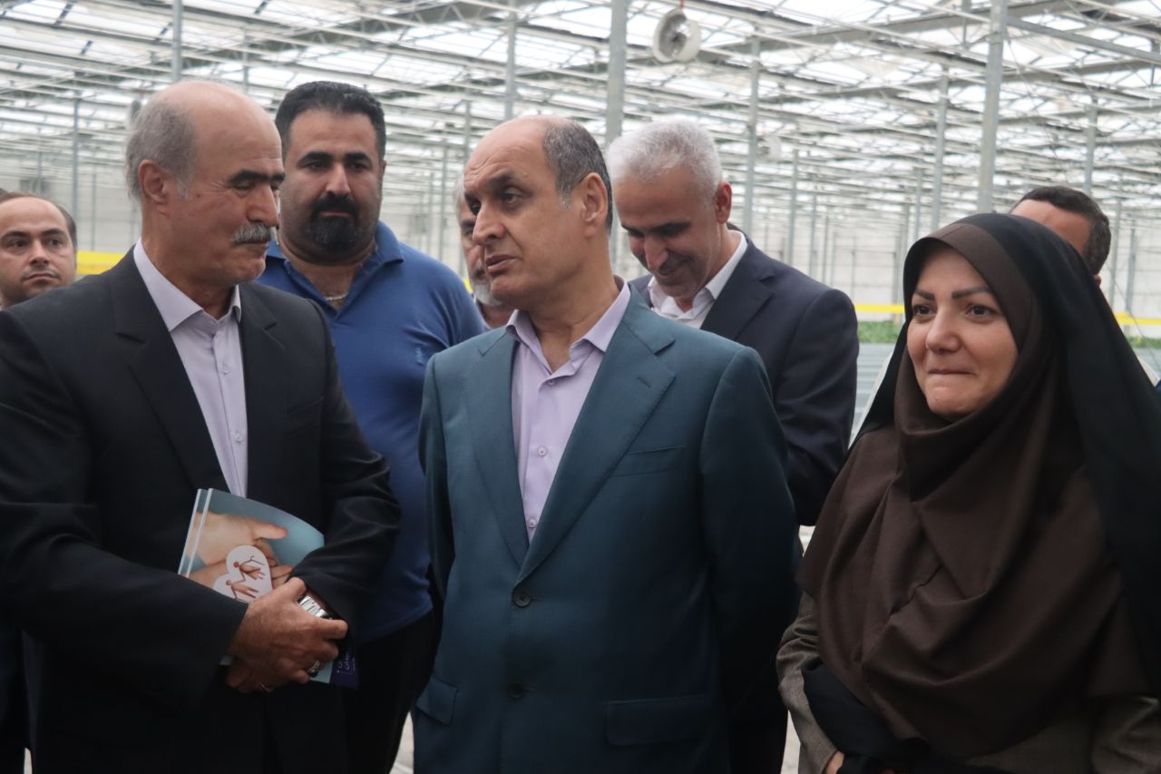 از مزرعه تا سفره؛ برنامه گیلان برای افزایش تولید محصولات کشاورزی