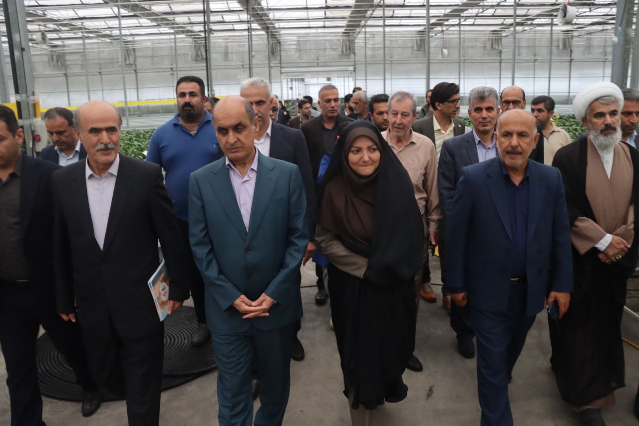 از مزرعه تا سفره؛ برنامه گیلان برای افزایش تولید محصولات کشاورزی